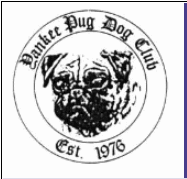 Yankee Pug Dog Club